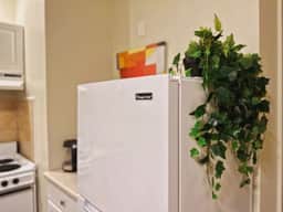 Ramblei near Temple Univ: 2BR Apt - 204