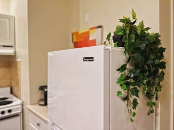 Ramblei near Temple Univ: 2BR Apt - 204
